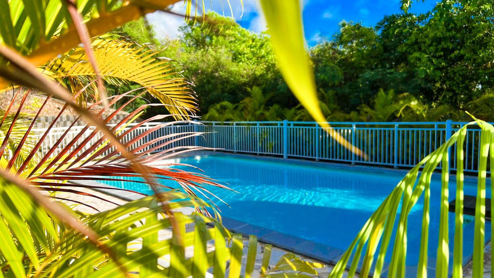 Magnifique Appartement Fleurs Caraibes - 6 Personnes En Residence Avec Piscine Privee - Sainte Anne Eksteriør billede